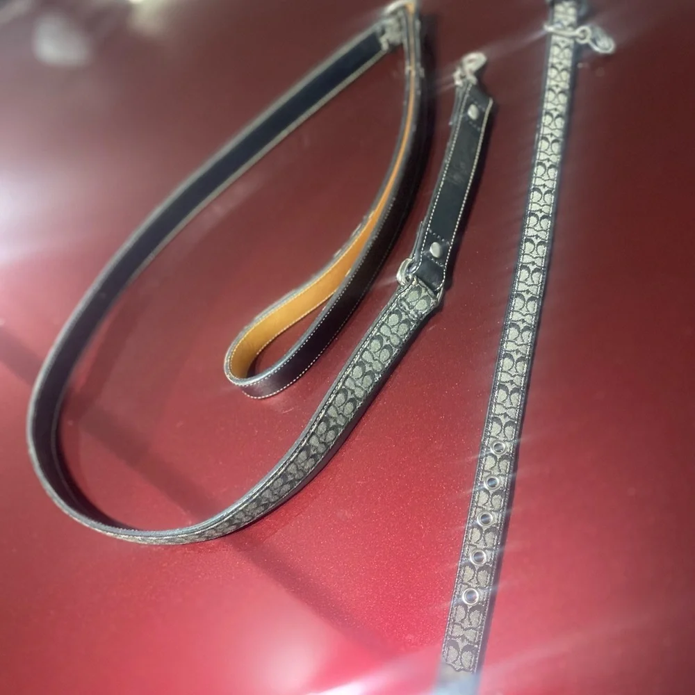 Coach Dog leash and collar